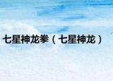 七星神龙拳（七星神龙）
