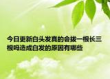 今日更新白头发真的会拔一根长三根吗造成白发的原因有哪些