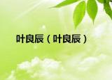叶良辰（叶良辰）
