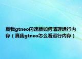 真我gtneo闪速版如何清理运行内存（真我gtneo怎么看运行内存）