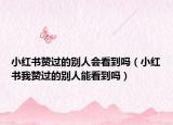 小红书赞过的别人会看到吗（小红书我赞过的别人能看到吗）