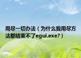 用尽一切办法（为什么我用尽方法都结束不了egui.exe?）