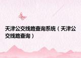 天津公交线路查询系统（天津公交线路查询）