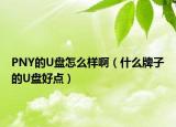 PNY的U盘怎么样啊（什么牌子的U盘好点）