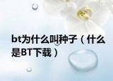 bt为什么叫种子（什么是BT下载）