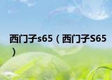 西门子s65（西门子S65）