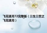 飞花逐月72完整版（三生三世之飞花逐月）