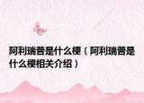 阿利瑞普是什么梗（阿利瑞普是什么梗相关介绍）