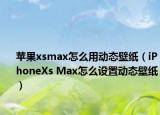 苹果xsmax怎么用动态壁纸（iPhoneXs Max怎么设置动态壁纸）