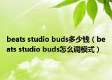 beats studio buds多少钱（beats studio buds怎么调模式）
