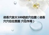 迎香穴放大100倍的穴位图（迎香穴穴位位置图 穴位作用）