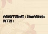 自酿梅子酒教程（简单自酿美味梅子酒）