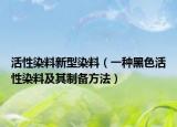 活性染料新型染料（一种黑色活性染料及其制备方法）