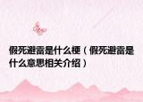 假死避雷是什么梗（假死避雷是什么意思相关介绍）