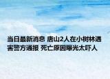 当日最新消息 唐山2人在小树林遇害警方通报 死亡原因曝光太吓人