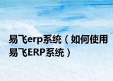 易飞erp系统（如何使用易飞ERP系统）