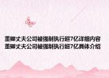 董卿丈夫公司被强制执行超7亿详细内容 董卿丈夫公司被强制执行超7亿具体介绍