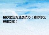猪砂鉴定方法及技巧（猪砂怎么样识别呢）