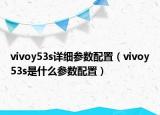 vivoy53s详细参数配置（vivoy53s是什么参数配置）