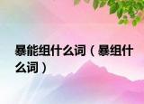 暴能组什么词（暴组什么词）