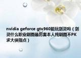 nvidia geforce gtx960能玩剑灵吗（剑灵什么职业刷图最厉害本人纯刷图不PK求大侠指点）