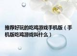 推荐好玩的吃鸡游戏手机版（手机版吃鸡游戏叫什么）