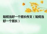 如何当好一个班长作文（如何当好一个班长）