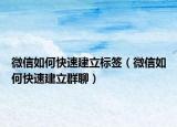 微信如何快速建立标签（微信如何快速建立群聊）