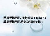 苹果手机死机 强制关机（Iphone苹果手机死机后怎么强制关机）