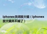 iphonex关闭放大镜（iphonex放大镜关不掉了）
