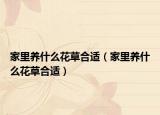 家里养什么花草合适（家里养什么花草合适）