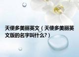 天使多美丽英文（天使多美丽英文版的名字叫什么?）