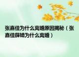 张嘉佳为什么离婚原因揭秘（张嘉佳薛婧为什么离婚）