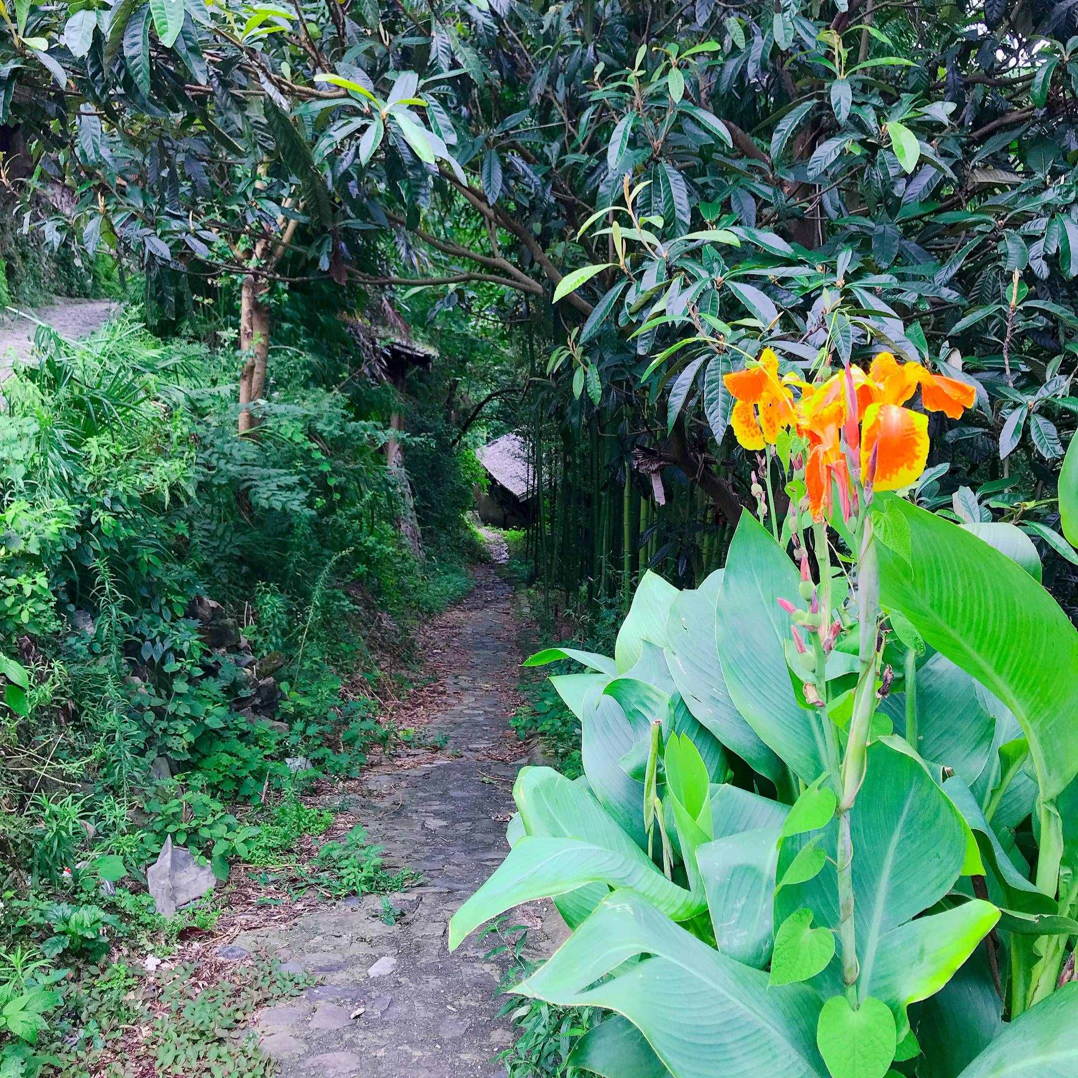 环游记-贵州游记（四）朗德苗寨