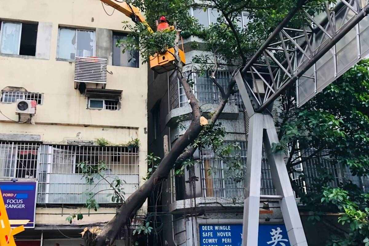 广东这一城中村下达拆迁通知了！每平米赔付10万，让人“眼红”