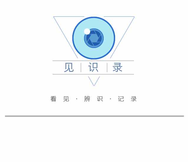 薰衣草花海盛开，上海青浦寻梦园景区“正是一年好风景”……
