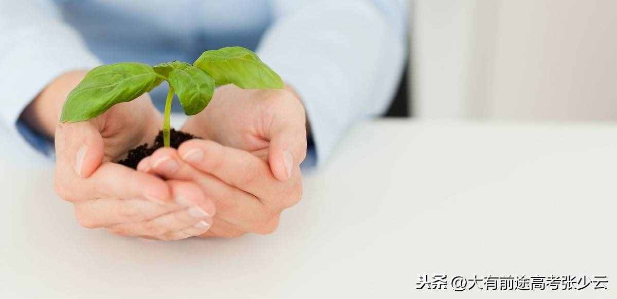 2020年高考：护理学类专业全息解读
