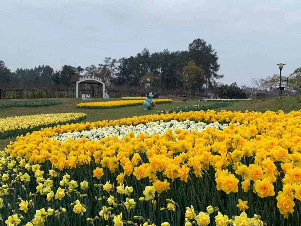 石象湖景区3月1日起有序开放，门票5折优惠，每日限客3000人