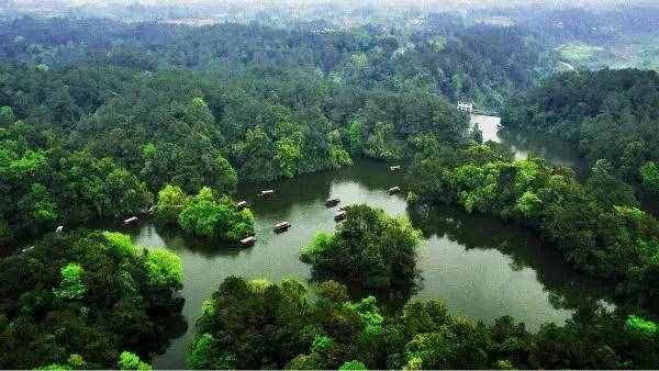 石象湖景区3月1日起有序开放，门票5折优惠，每日限客3000人
