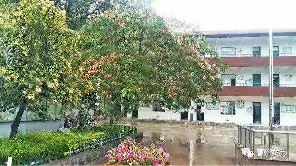 校园散步（散文）