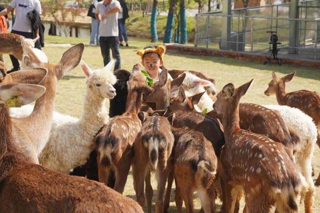 12月，南京这六个景点免费开放啦