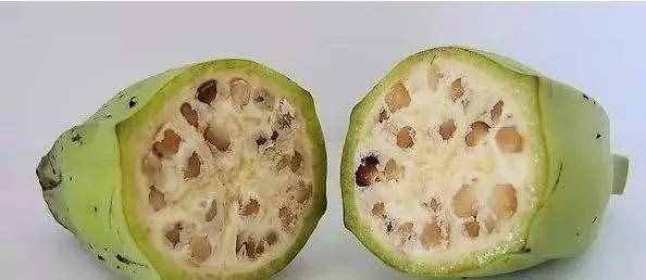 香蕉的种子在哪里，为何我们吃的香蕉找不到种子？