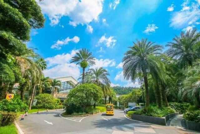 东莞塘厦·三正半山温泉酒店自助晚餐来啦！2大1小无限量任吃，赞呀