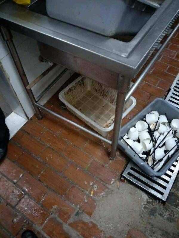 俏江南后厨再曝黑幕：老鼠屎遍布，死蟑螂卧餐盘三天无人处理