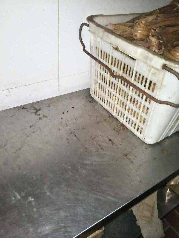 俏江南后厨再曝黑幕：老鼠屎遍布，死蟑螂卧餐盘三天无人处理