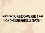 autocad如何用文字格式刷（AutoCAD格式刷快捷键运用优质）