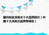 国内知名洗发水十大品牌排行（中国十大洗发水品牌有哪些）