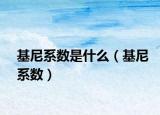 基尼系数是什么（基尼系数）