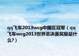 qq飞车2013wcg中国区冠军（qq飞车wcg2013世界总决赛奖励是什么?）