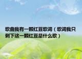 歌曲我有一颗红豆歌词（歌词我只剩下这一颗红豆是什么歌）